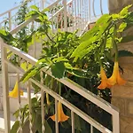 Апартаменты One-bedroom In I Винишче